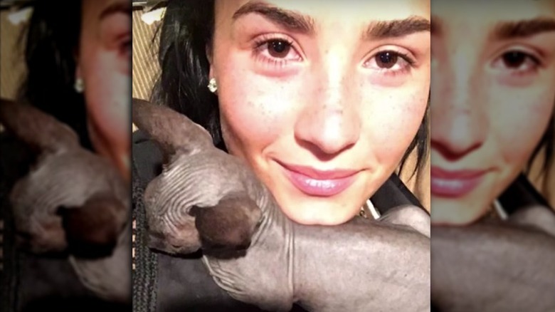 Demi Lovato with hairless cat
